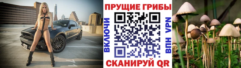 Псилоцибиновые грибы Cubensis  площадка Telegram  Северобайкальск 